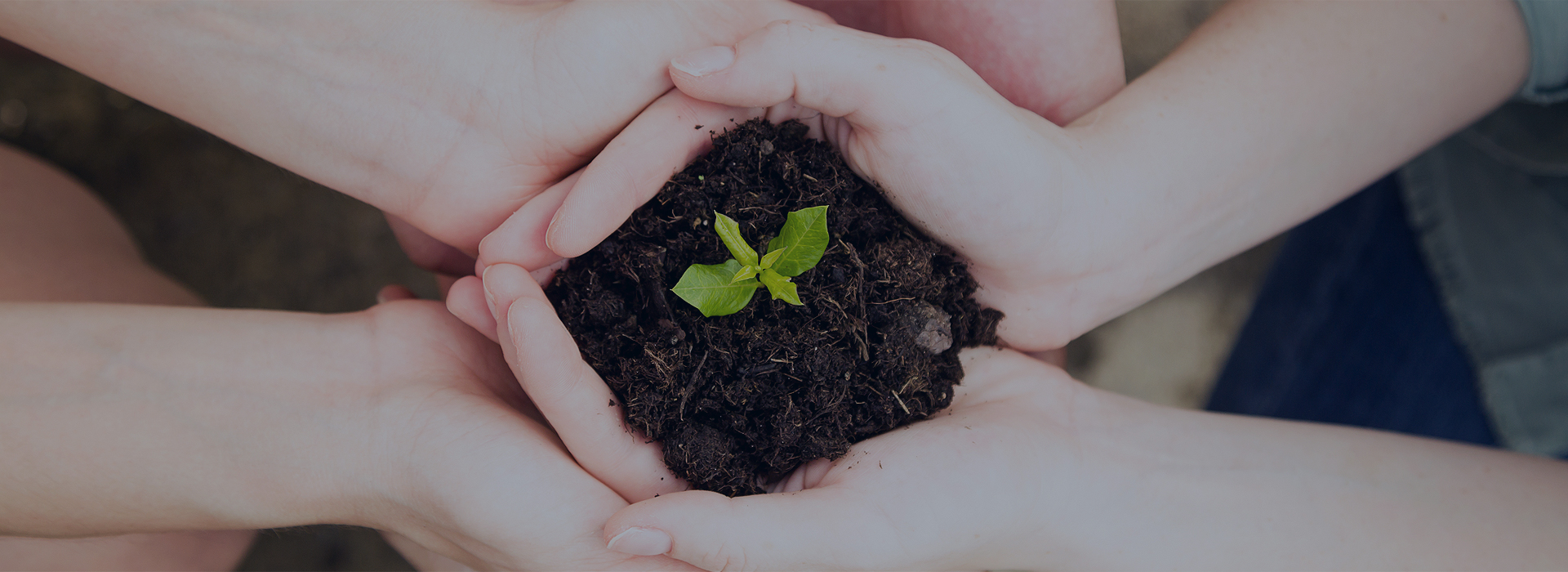 综合美容&场外解决方案提供商